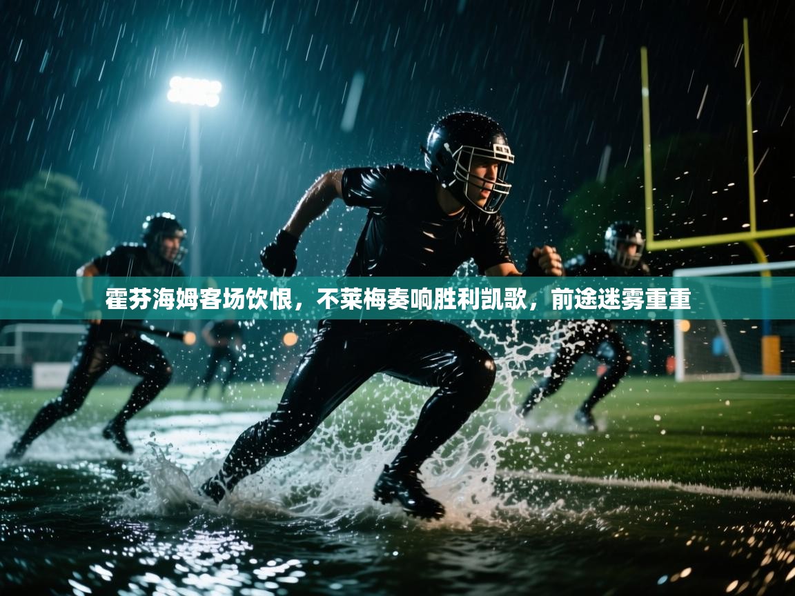 霍芬海姆客场饮恨，不莱梅奏响胜利凯歌，前途迷雾重重  第2张